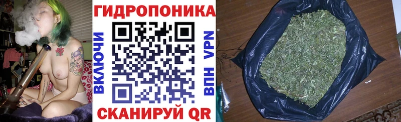 Конопля гибрид  Лесной 